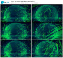 Bamboo Forest Stage Background Bamboo Leaves in the Moonlight Next to Hulusi Background Video Material