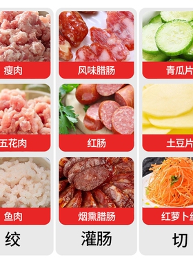 出口杰博士电动绞肉机家用小型商
