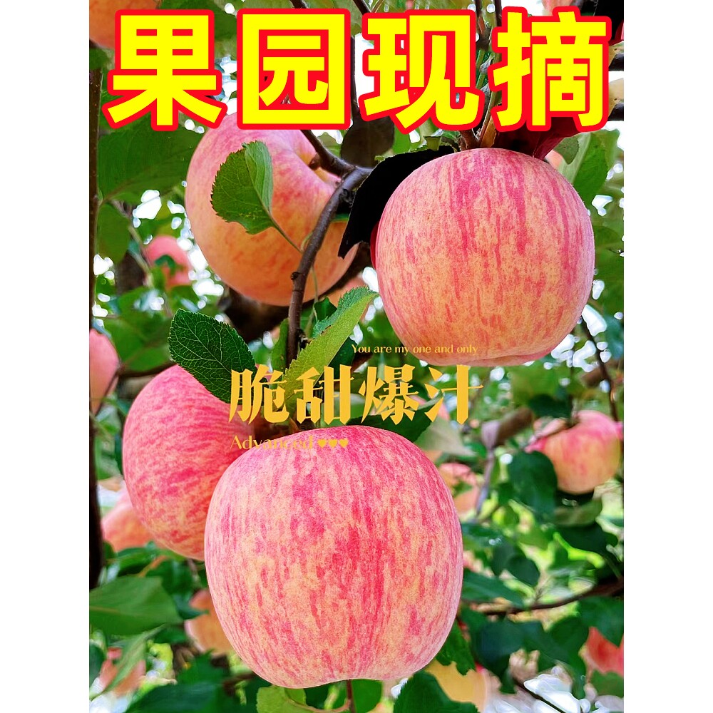 �����츻ʿƻ��10��������ժ�������������и�ˮ�������ĳ�����5