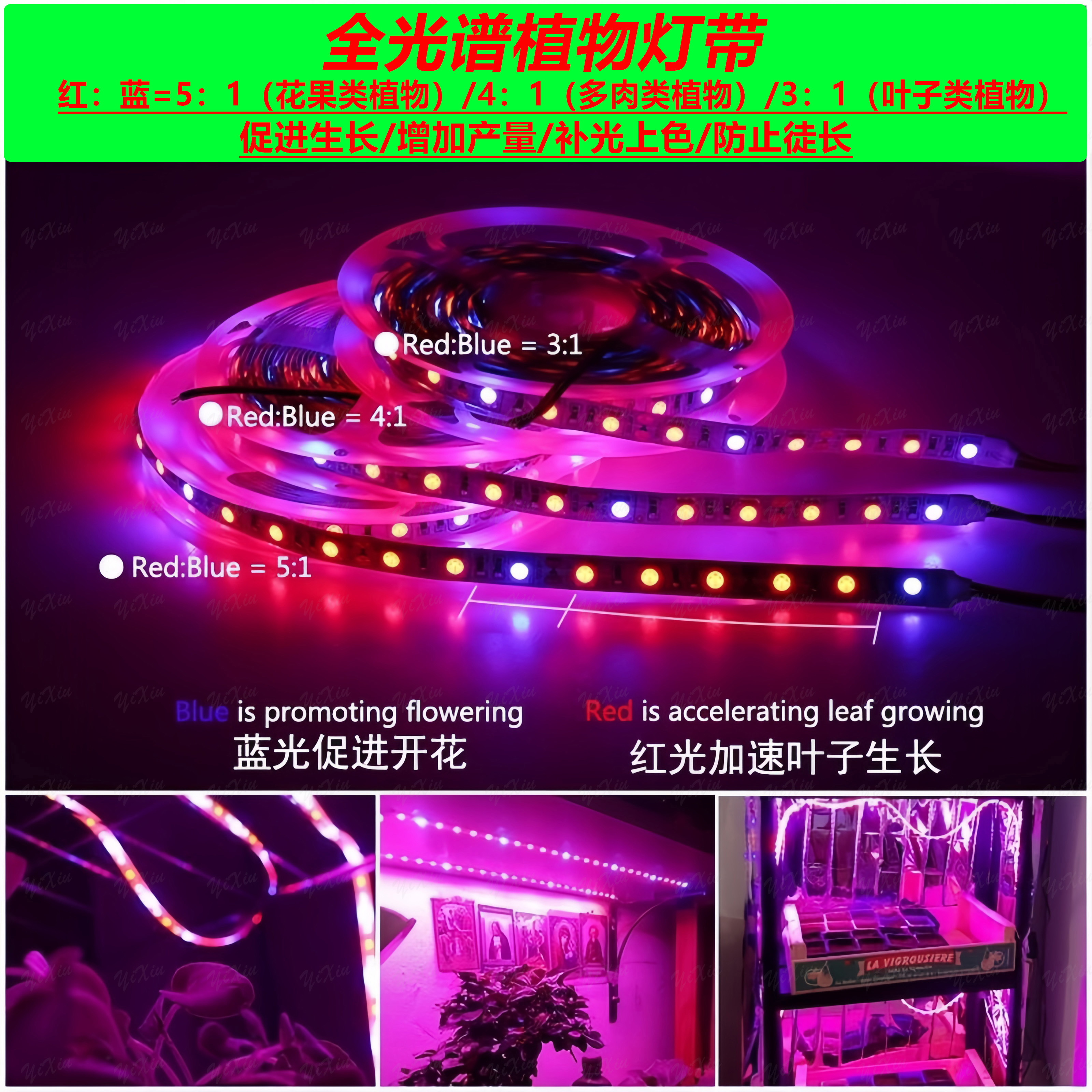 5050多肉植物生长花果蔬菜led软灯条复合补光灯4红1蓝12V防水灯带 - 图0