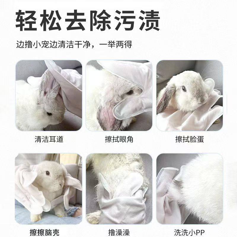 兔子专用洗澡清洁神器干洗粉用品手套宠物豚鼠侏儒养幼小兔兔湿巾,淘宝优惠券,粉丝福利购,淘宝优惠卷