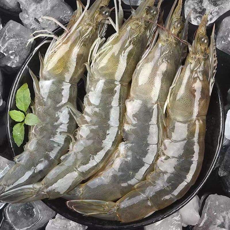 青岛大虾超大虾子海鲜顺丰，每一只都个大饱满，肉嫩鲜美，超大分量吃得过瘾-第5张图片-提都小院