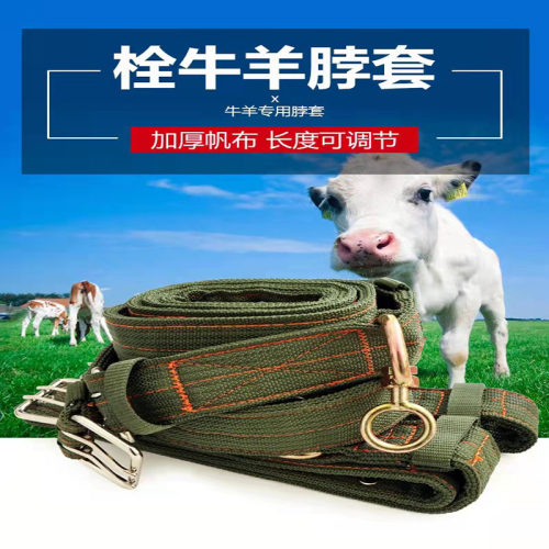 栓羊脖套羊项圈育肥羊脖套项圈羊绳子养殖设备加厚拴羊专用的脖套 - 图2