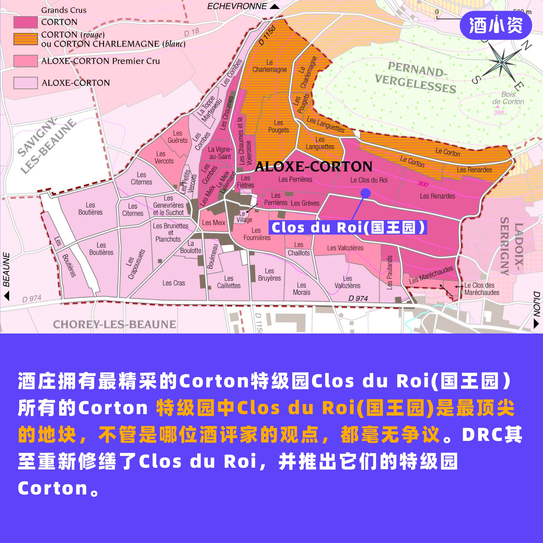 DRC都羡慕 泰纳德酒庄科通「国王」特级园干红 Domaine Thénard - 图1