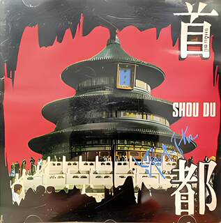 Luo dayou<capital>mp3.mv old version