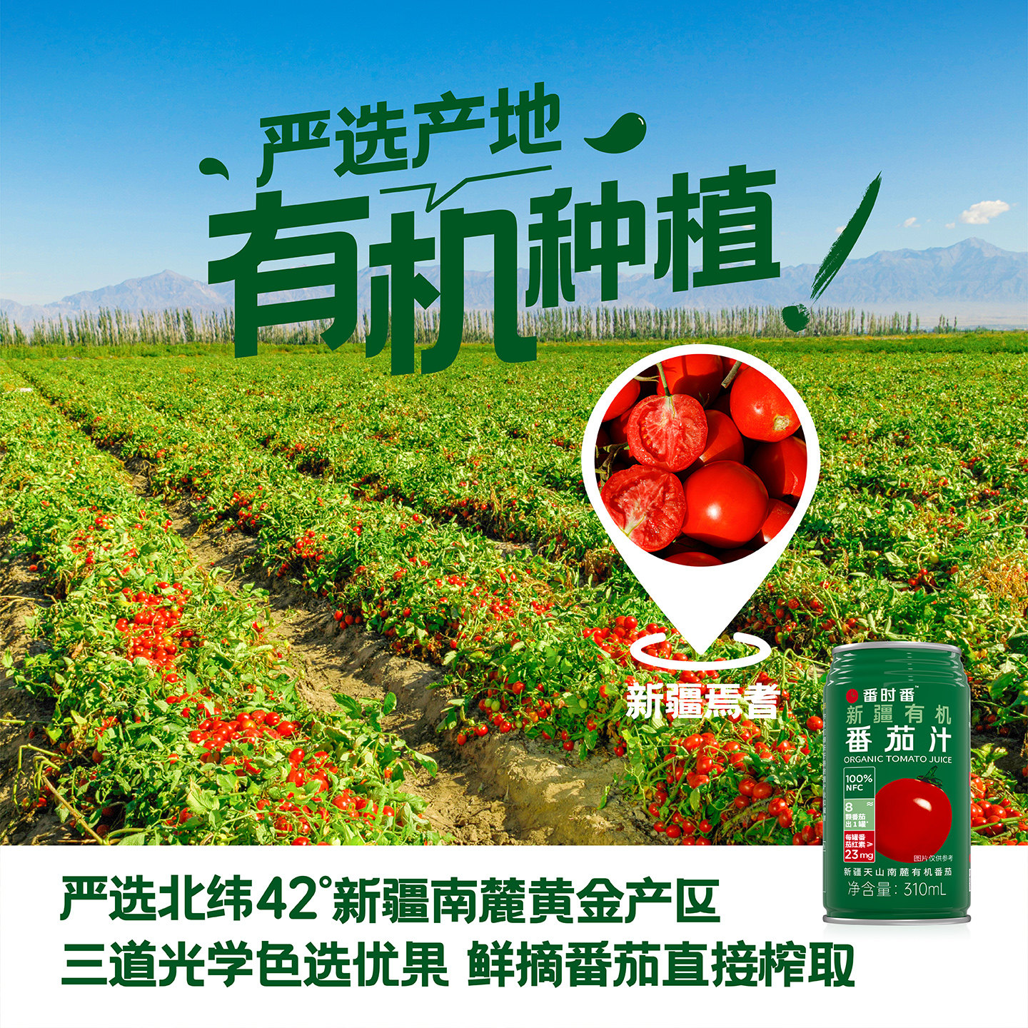 【林依轮直播间】番时番新疆番茄汁鲜果原榨非浓缩还原310ml*12罐