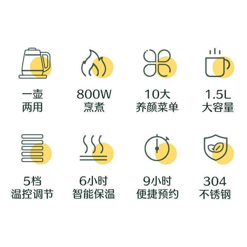 苏泊尔龙康养生壶/煎药壶