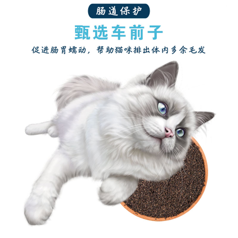 萌乐哆猫粮鸡肉味41%高蛋白鲜肉全期全价无谷低敏蓝猫布偶美短 - 图0