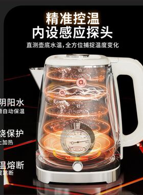 JIALI佳力复古电热水壶316不锈钢