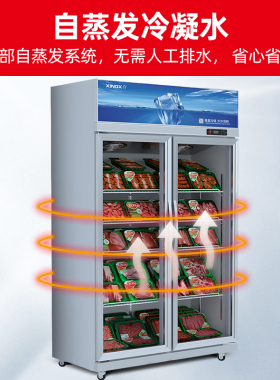 星星双开门冰柜冷藏冷冻商用生鲜