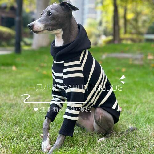 冬季新品加厚条纹连帽衫卫衣保暖小灵缇惠比特贝灵顿犬狗狗衣服 - 图3