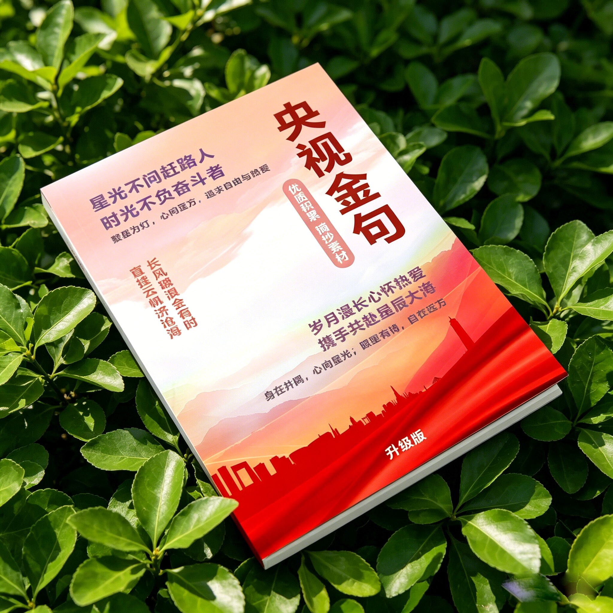 央文案视金句摘抄作文素材初中学生写作金句仿写作文开头结尾大全