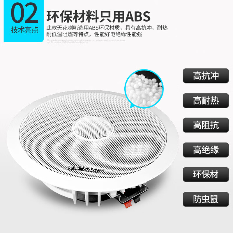 先科（SAST）S4-1音响音箱家庭影院定阻吸顶喇叭同轴高保真天花板 - 图2