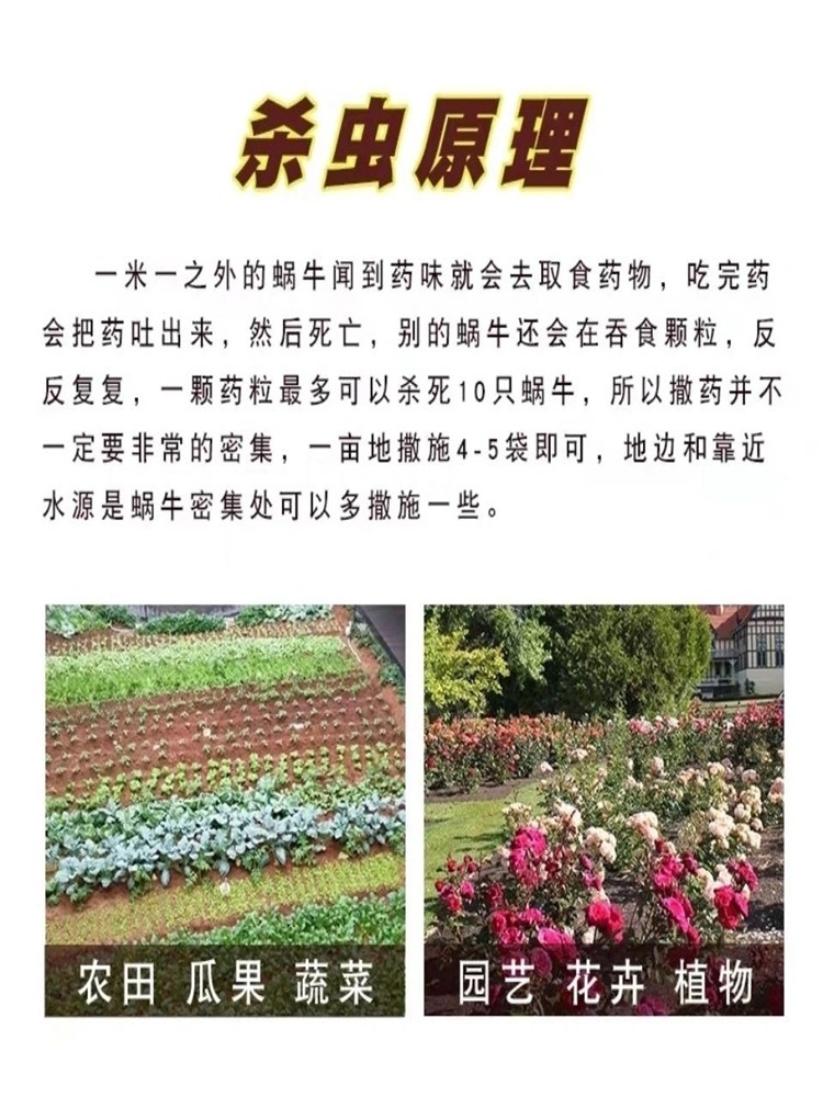 四聚乙醛蜗牛药鼻涕虫杀蜗牛专用农药四聚乙酫颗粒果树菜地杀虫剂 - 图3