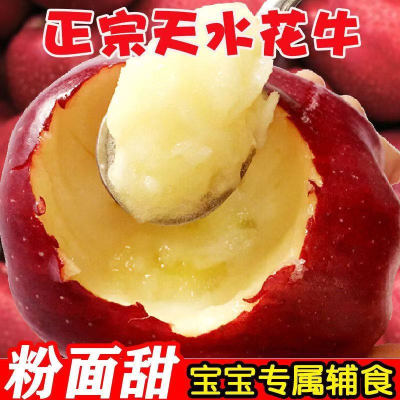【头茬新果】天水花牛苹果新鲜粉刮泥面现摘婴儿老年人辅食包邮,淘宝优惠券,粉丝福利购,淘宝优惠卷