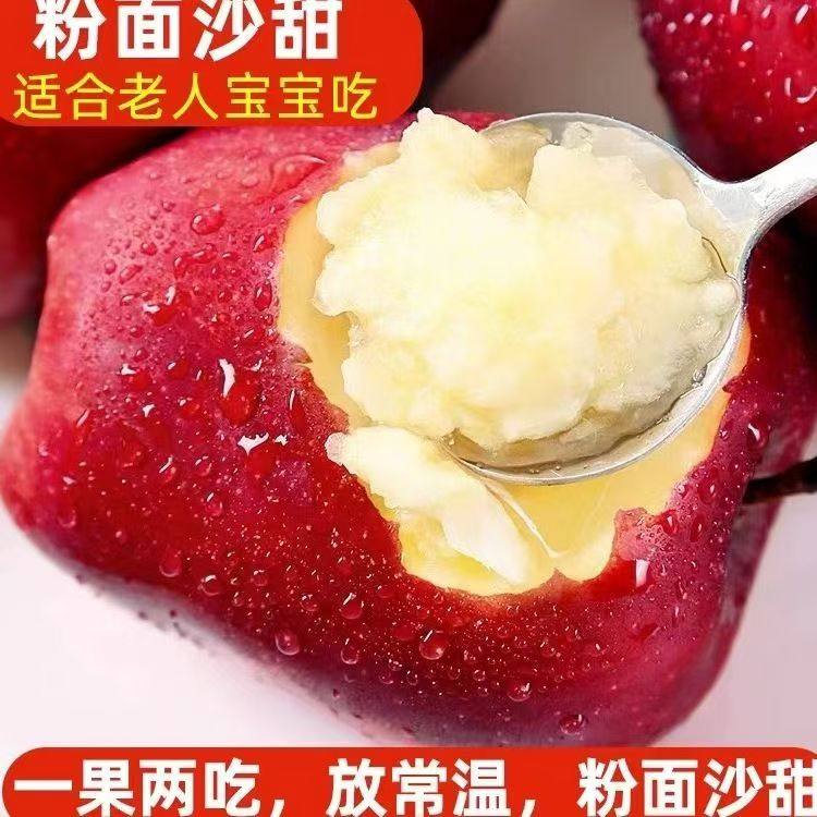 【头茬新果】天水花牛苹果新鲜粉刮泥面现摘婴儿老年人辅食包邮,淘宝优惠券,粉丝福利购,淘宝优惠卷