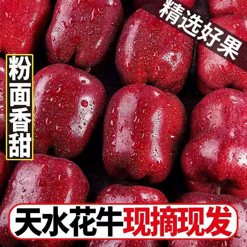 【头茬新果】天水花牛苹果新鲜粉刮泥面现摘婴儿老年人辅食包邮,淘宝优惠券,粉丝福利购,淘宝优惠卷