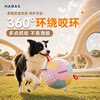 Dog toy large pet ball dog ball