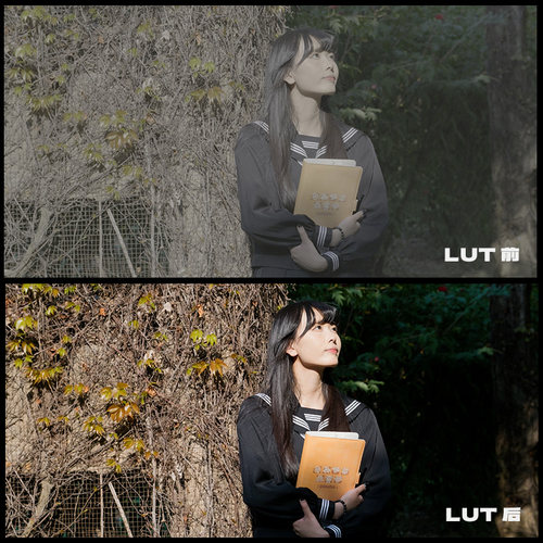 【松下lut】vlog自然色彩方案｜up主自制机内监视烧录luts1r2s5 - 图0