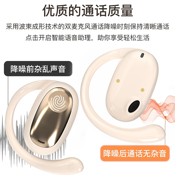 EARISE/雅兰仕 1雅兰仕柏林之声 - 图1