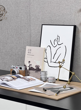 现代简约样板房间仿真相机镜头组合桌面摆件装饰品书桌桌垫装饰画