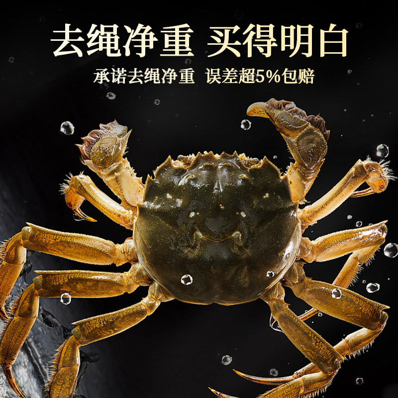 蟹师会固城湖大闸蟹鲜活螃蟹全母毛蟹10只特大新鲜螃蟹礼盒官方,淘宝优惠券,粉丝福利购,淘宝优惠卷