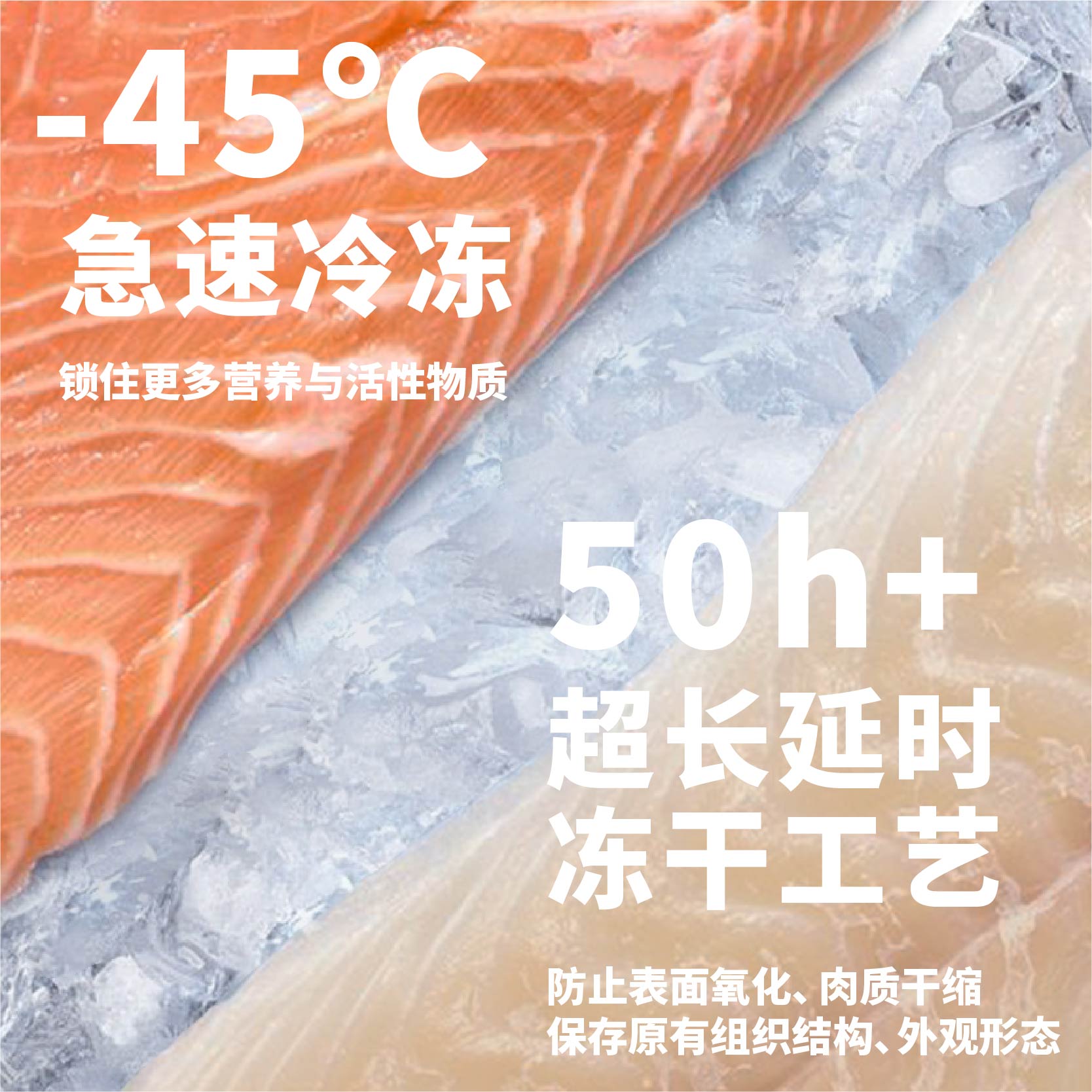 鸽肉配方3m5主食冻干生骨肉猫粮100%动物性原料无添加适合幼猫 - 图2