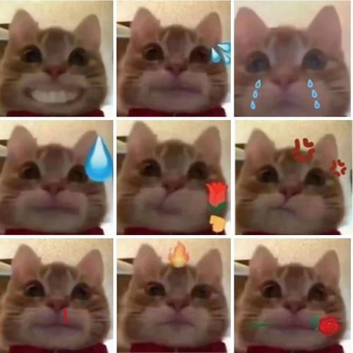 62张歪嘴小猫表情包贴纸网红骚骚猴混合沙雕个性创意装饰防水贴纸 - 图3