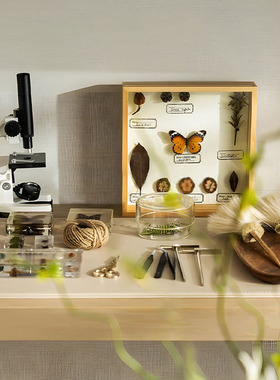 现代简约风样板房间天然植物昆虫蝴蝶标本手工主题套装饰摆件组合