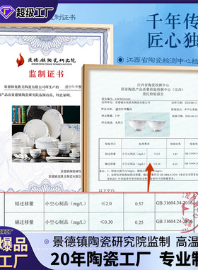 碗盘套装家用2024新款轻奢高级感景德镇陶瓷餐具定制碗碟餐具套装