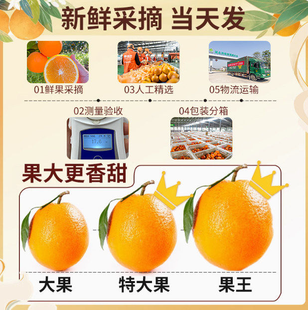 湖北秭归脐橙新鲜橙子10大果当季新鲜橙子榨汁专用甜橙官方旗舰店,淘宝优惠券,粉丝福利购,淘宝优惠卷