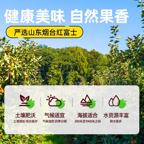 哪吒捏爆100%纯果汁饮料苹果汁桃汁橙汁雪梨汁200ml小盒装聚会 - 图1