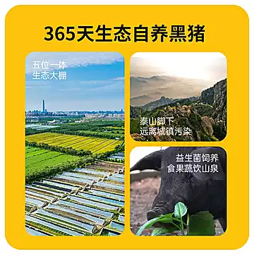 巴夫巴夫蔬菜膳食黑猪肉奥尔良脆骨320g[5元优惠券]-寻折猪