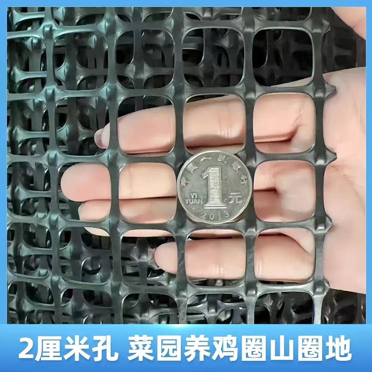 优质塑料网格两厘米小孔围栏网户外加密防护网养殖育雏护果防鸟网,淘宝优惠券,粉丝福利购,淘宝优惠卷