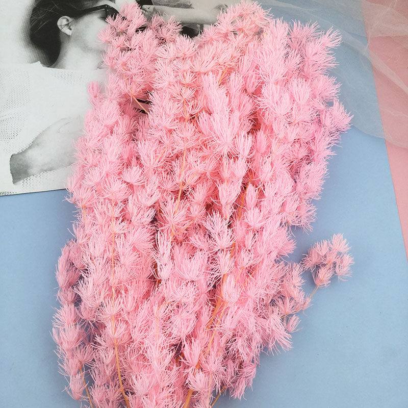 永生花蓬莱松干花DIY情人节礼盒玻璃材料手工制作车挂件花材配花