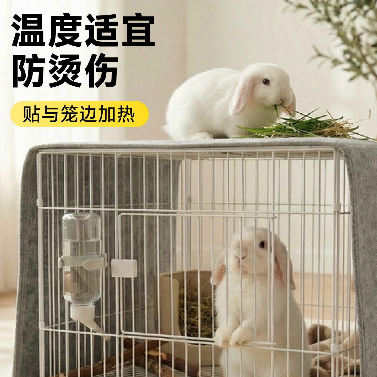 兔子窝过冬防寒保暖神器兔笼保温罩宠物加热毯侏儒兔恒温取暖专用,淘宝优惠券,粉丝福利购,淘宝优惠卷