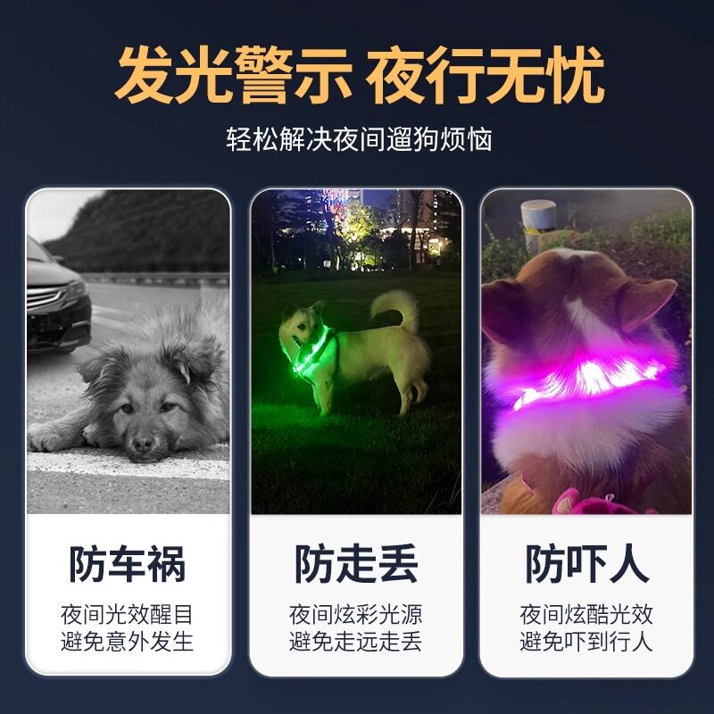Dog luminous collar lights up at night for walking the dog