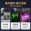 Dog luminous collar lights up at night for walking the dog