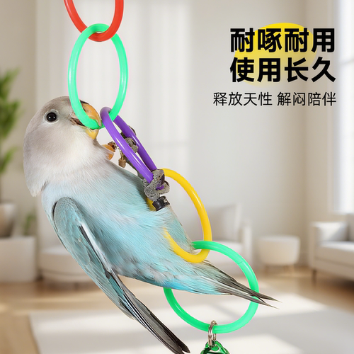 鹦鹉秋千吊环虎皮小太阳彩虹攀爬玩具小鸟玄凤专用小型鸟笼配件 - 图2