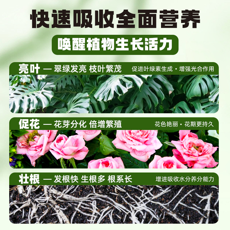 植物营养液通用型发财树水培富贵竹绿萝多肉室内盆栽花卉酸性专用 - 图1