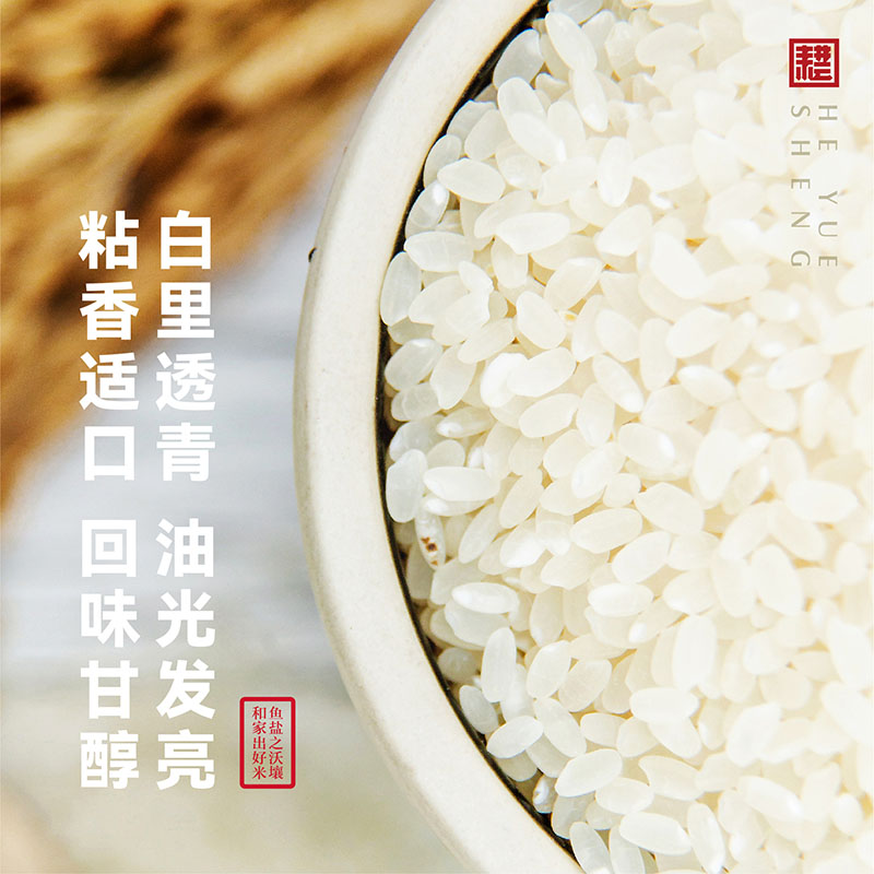 2023年小站稻大米圆粒新米真空小包装500g严选粳米优质一斤好大米 - 图0