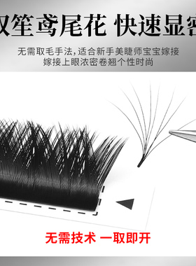 亚妮咔貂绒双笙鸢尾花V型美睫店