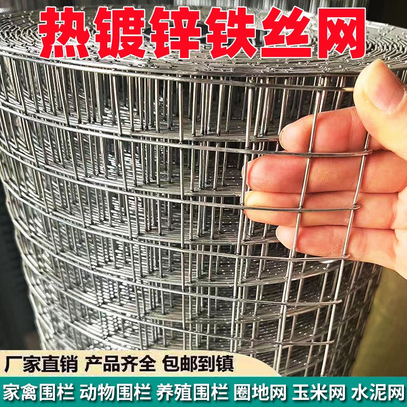 热镀锌铁丝网围栏养殖护栏网养鸡防鼠钢丝网加粗电焊网抹灰网格-图0