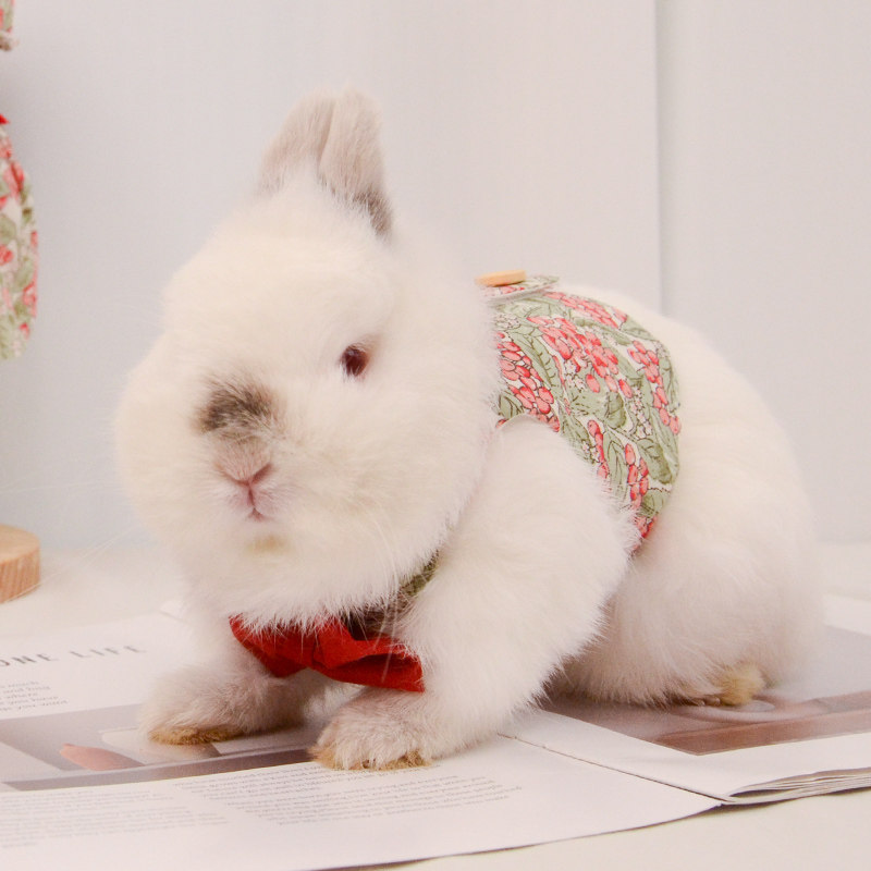 UMI碎花丝绒蝴蝶结裙马甲背心装扮外出穿着可爱俏皮兔兔服饰,淘宝优惠券,粉丝福利购,淘宝优惠卷