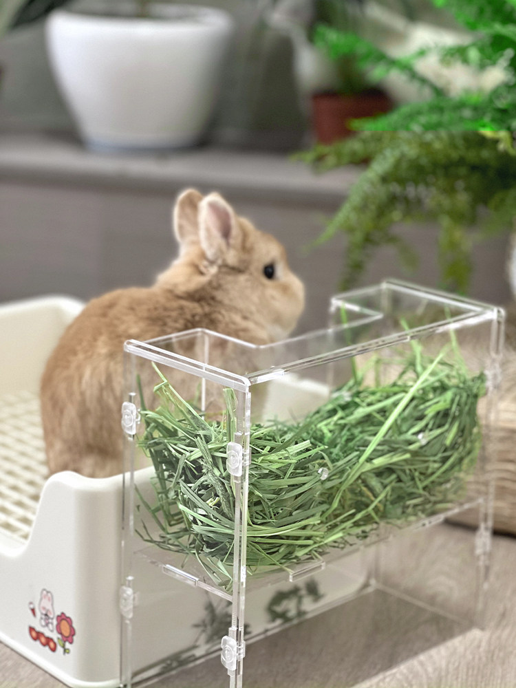 兔子草架亚克力大容量搭配厕所荷兰猪豚鼠牧草架宠物配套草架食盆,淘宝优惠券,粉丝福利购,淘宝优惠卷
