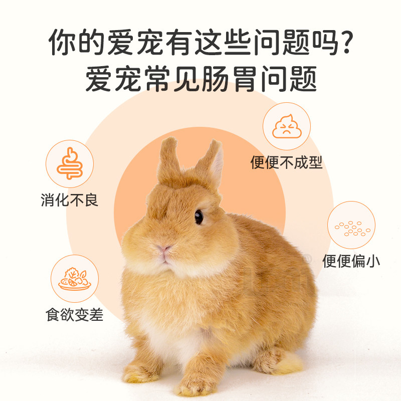 艾利美佳乳酸菌片小宠保健品兔兔荷兰猪豚鼠促消化防软便调理肠胃,淘宝优惠券,粉丝福利购,淘宝优惠卷