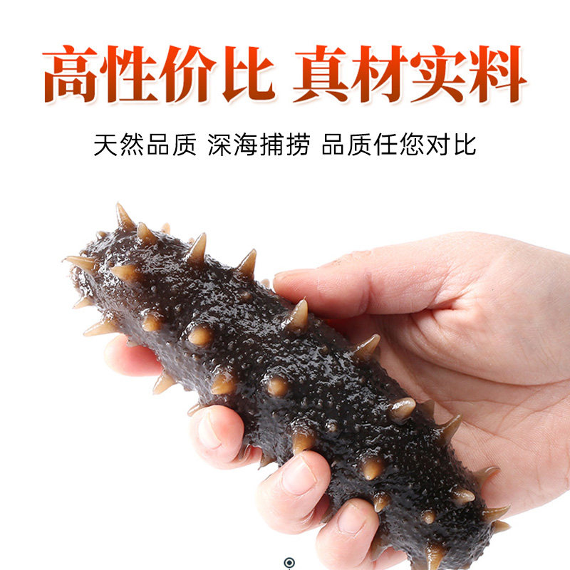  董二胖滋补养生干品/即食海参