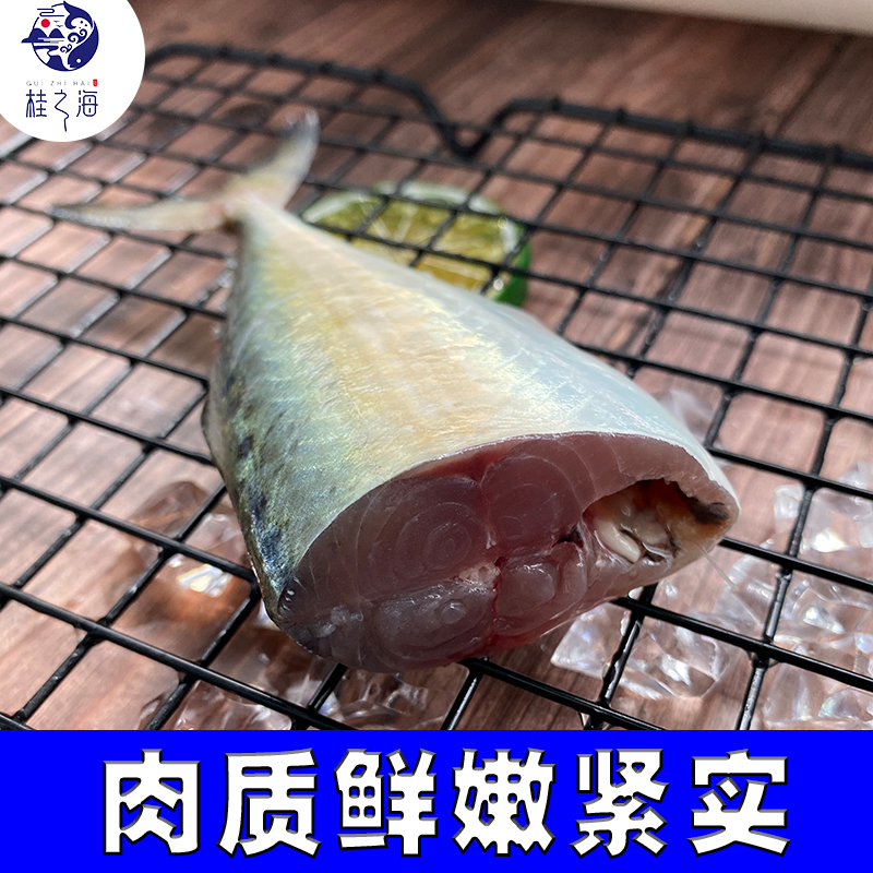 北海特色白面鱼现捕现发深海鱼【4条/包】新鲜去鳞去鳃去内脏海鲜 - 图0