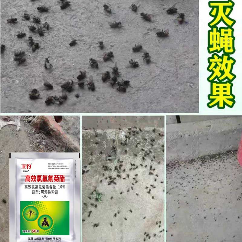 高效氯氰氟菊酯蚊蝇通灭香非无味一闻死熏苍蝇的药饭店养殖场xf - 图0