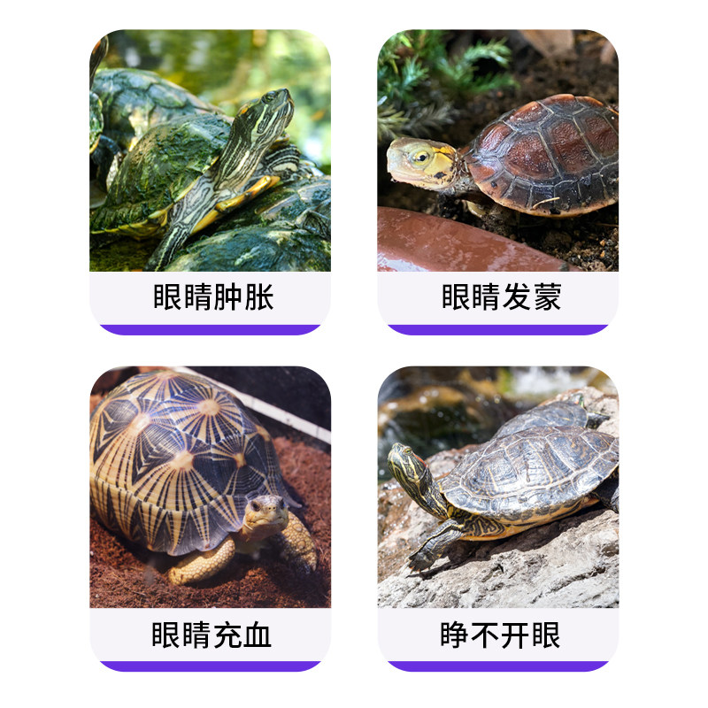乌龟白眼病专用药急救眼药水乌龟红眼蒙眼发炎红肿抗菌新霉素滴眼,淘宝优惠券,粉丝福利购,淘宝优惠卷